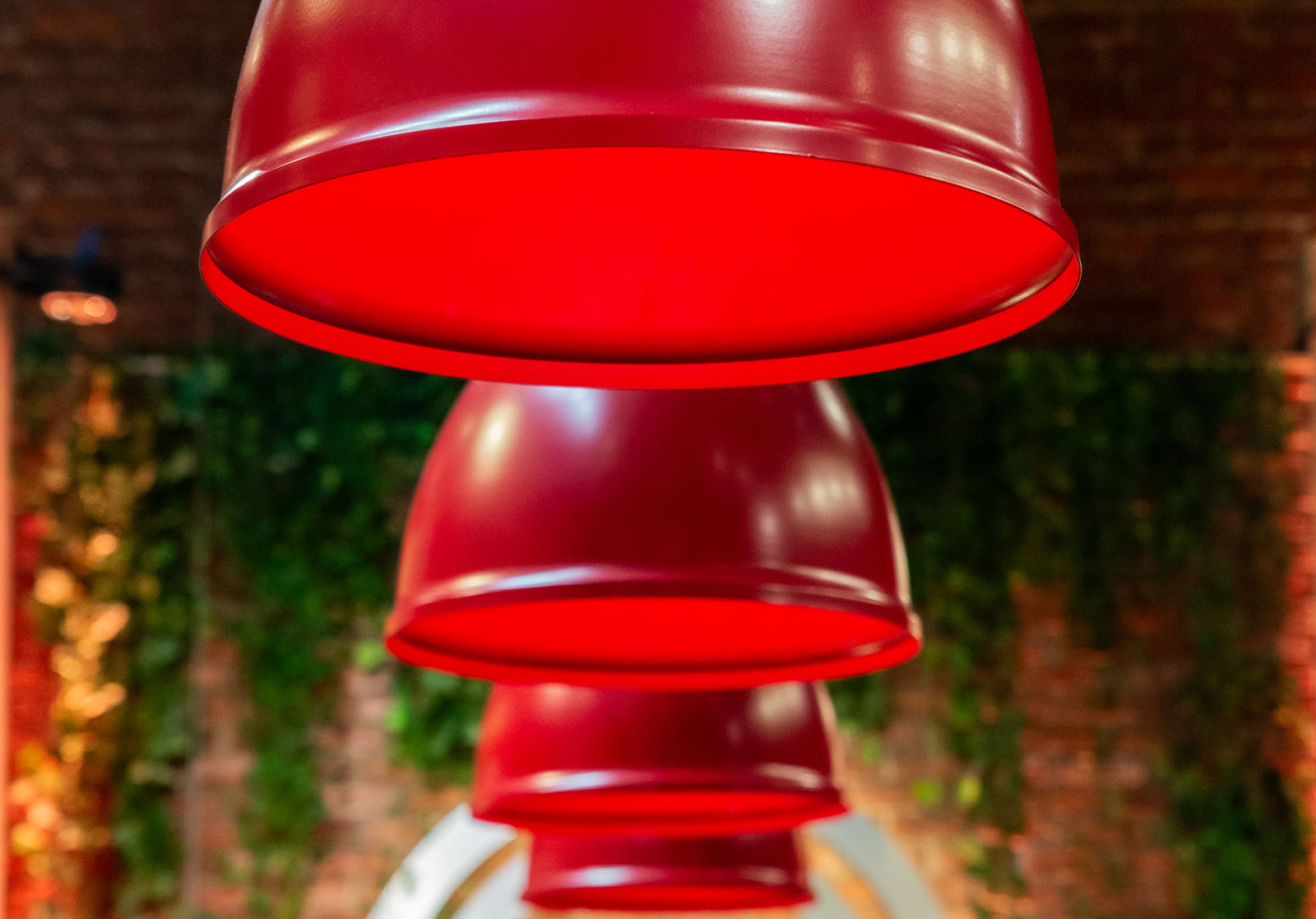 Egoluce illumina MasterChef edizione 15